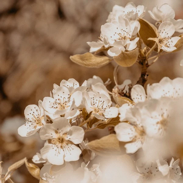 Refillable Deodorant STARTER SET - Image 10